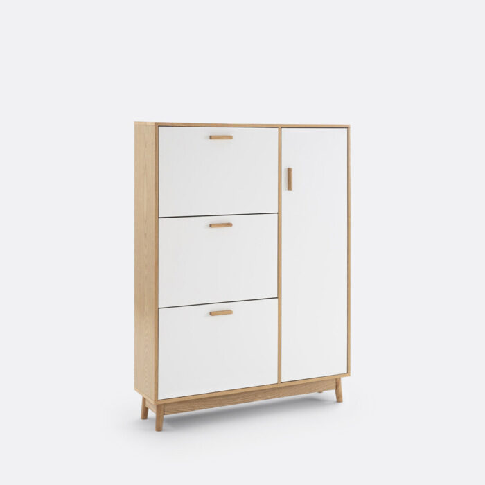 Sheldon Shoe Cabinet with 3 Compartments & 1 Cupboard - Image 4