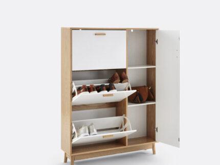 Sheldon Shoe Cabinet with 3 Compartments & 1 Cupboard